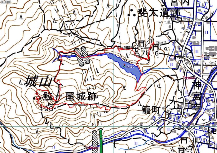 20250409 L [g}